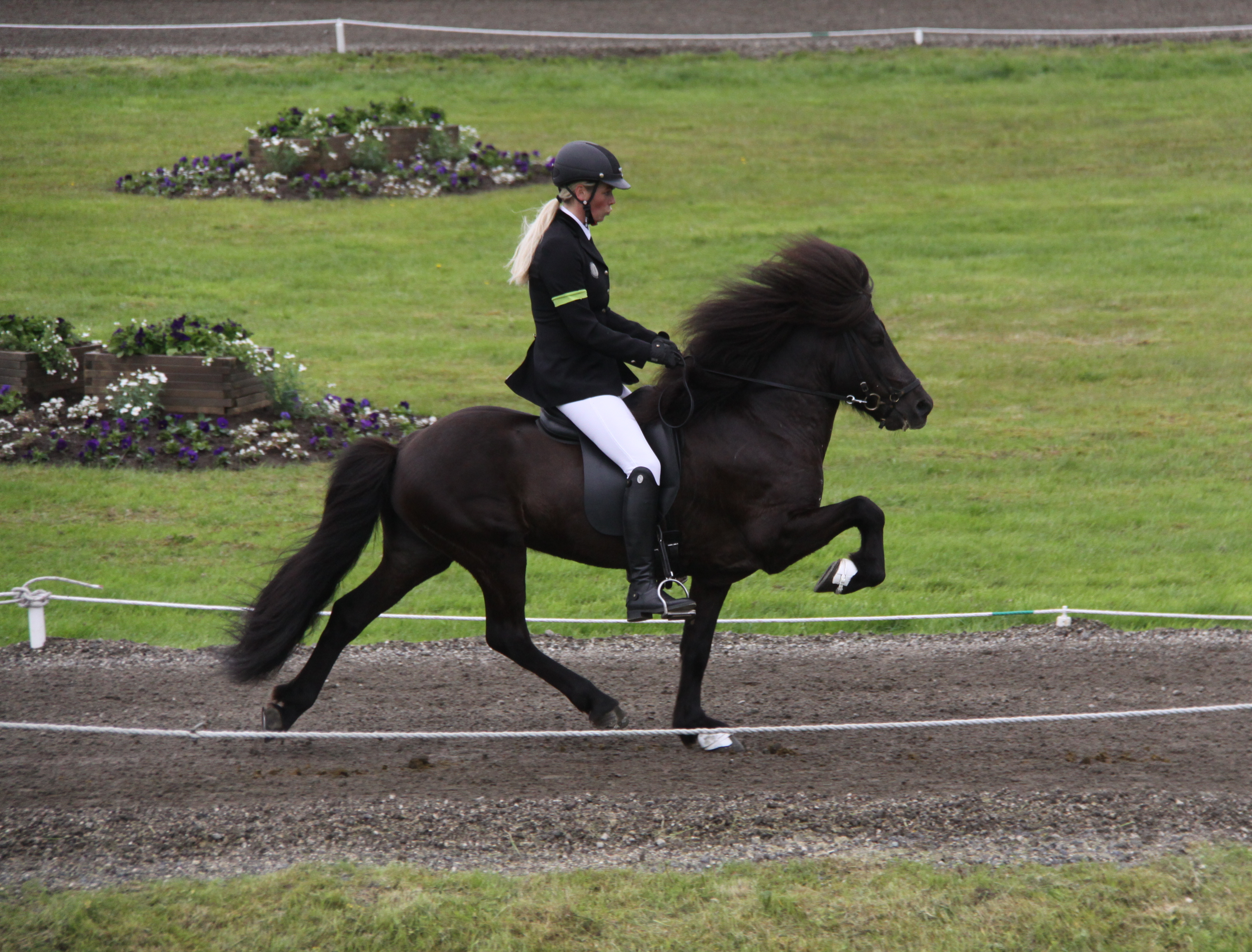 Texti sem hentar mynd